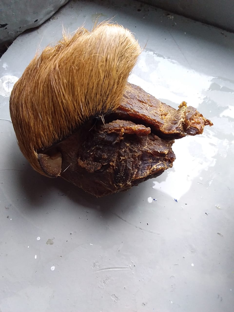 Carne Pedregal- foto Jorge Carmona