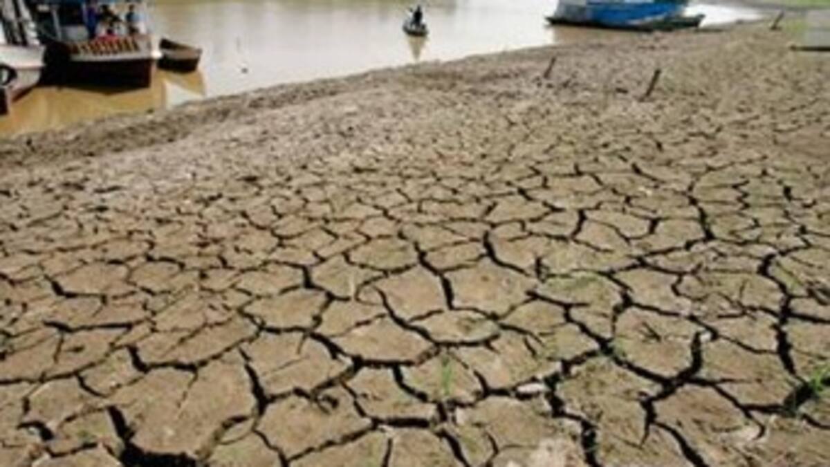 La sequía que se presenta en el país podría afectar a la agricultura más que las lluvias: Gobierno