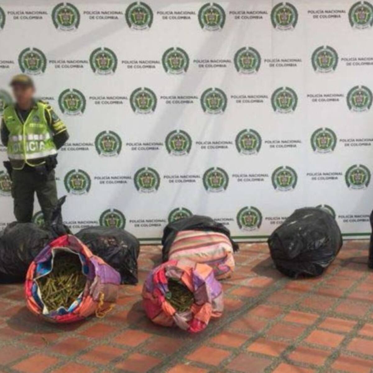 Incautan 9000 tallos de semilla de hoja de coca en vías de Pereira