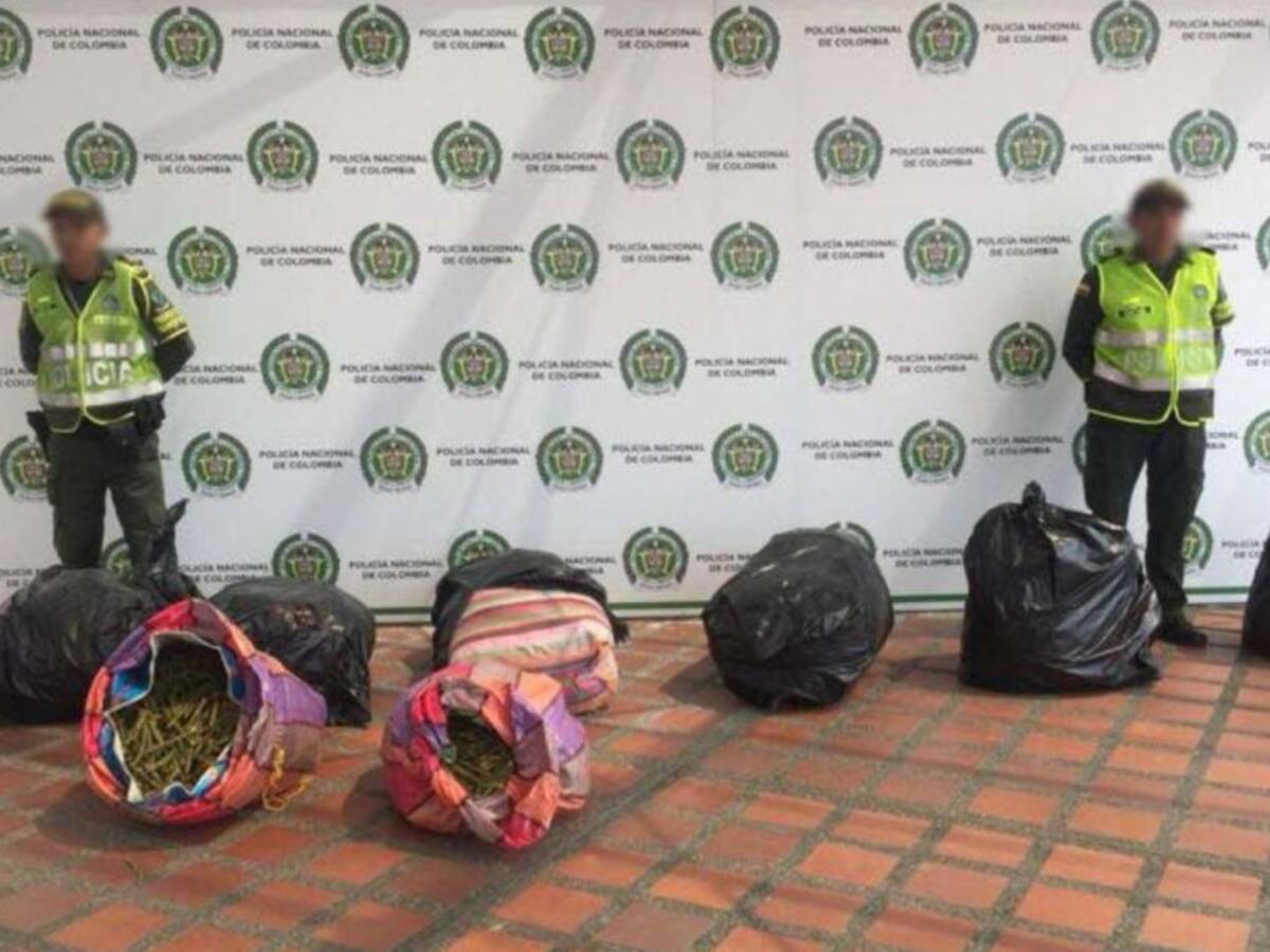 Incautan 9000 tallos de semilla de hoja de coca en vías de Pereira