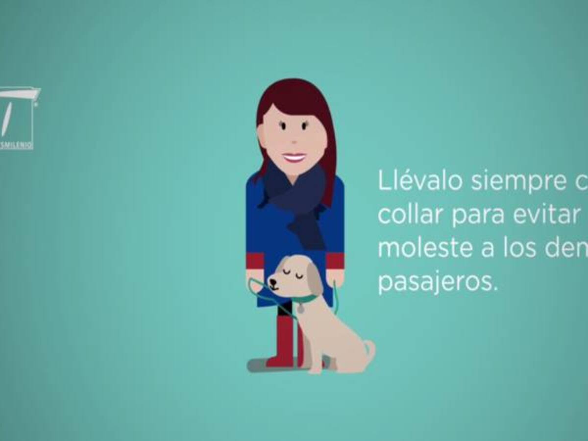Siete tips para que los perros suban a Transmilenio