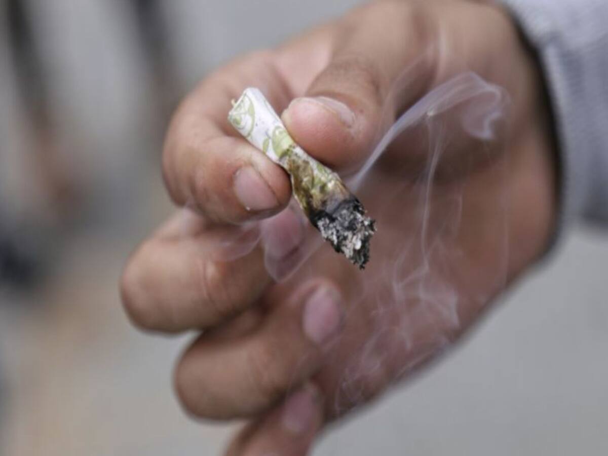 VIDEO: Plantean creación de "marihuanódromo" en Barrancabermeja