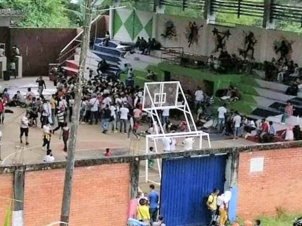 Siguen los combates y desplazamientos en Argelia, Cauca