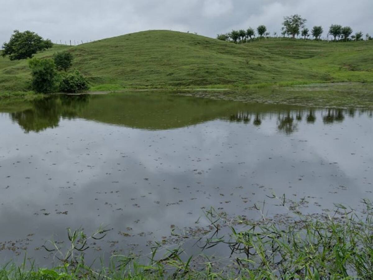Piscicultores de Bayunca recibieron capacitación de UMATA