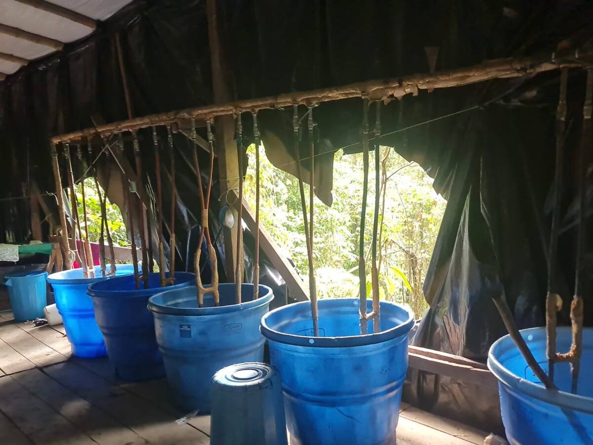 En Policarpa Nariño descubrieron dos megalaboratorios de droga