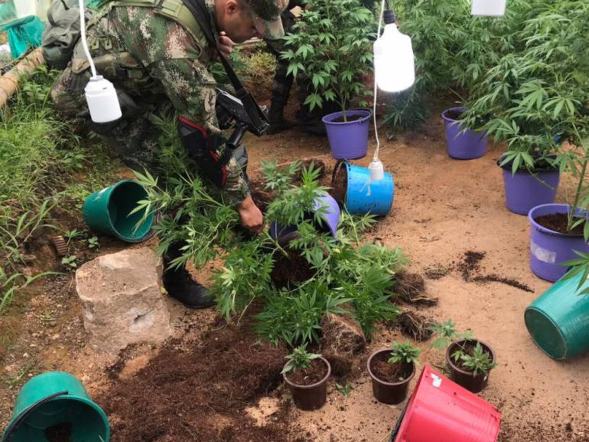 Incautan municiones a disidencias de las Farc en Ituango, Antioquia