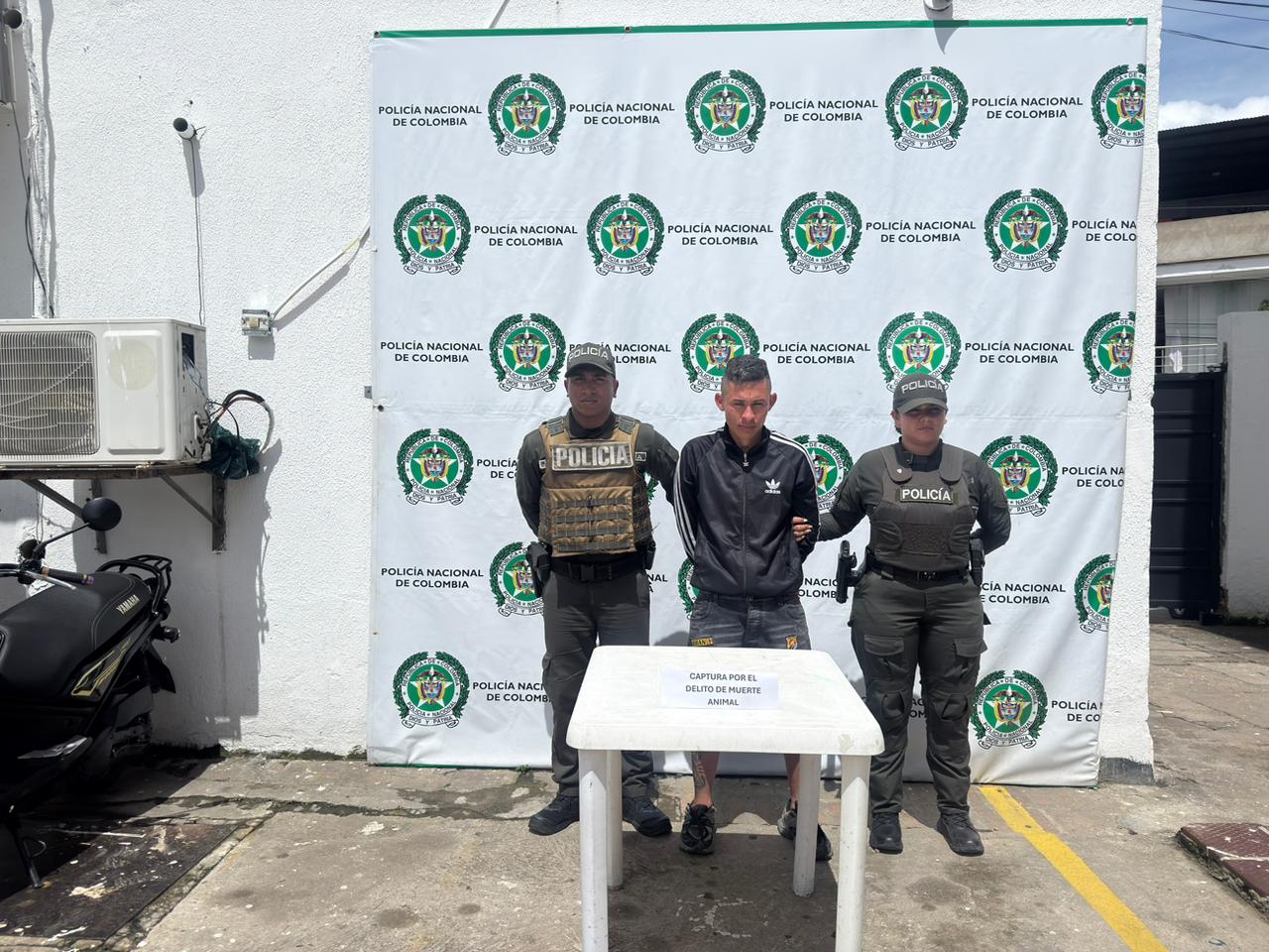 Capturan en Ocaña a un hombre que habría asesinado brutalmente a un gato. / Foto: Policía.