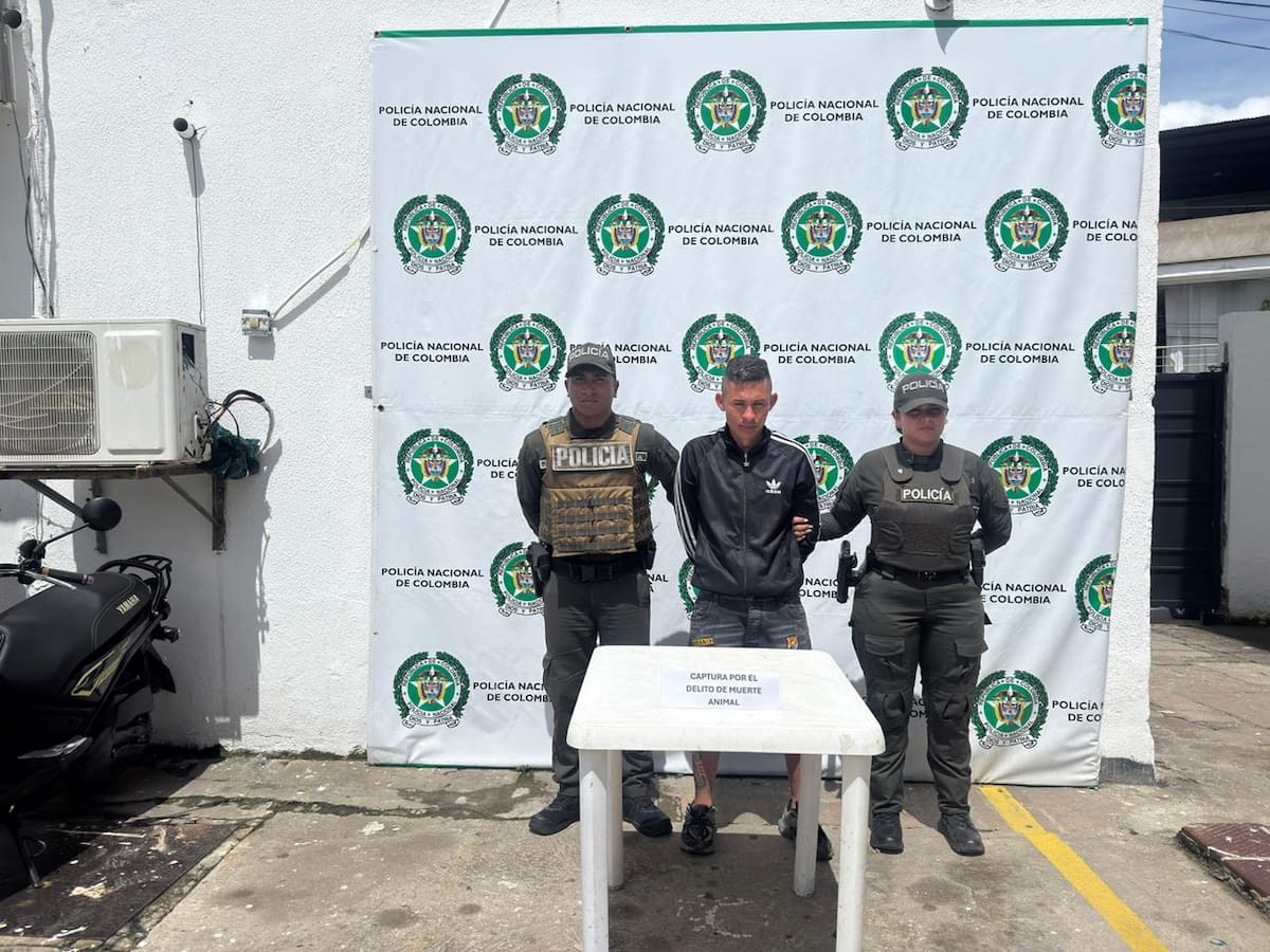 Capturan en Ocaña a un hombre que habría asesinado brutalmente a un gato