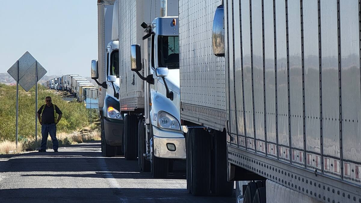 SuperTransporte investiga a 258 empresas por inconsistencias en costos de operación
