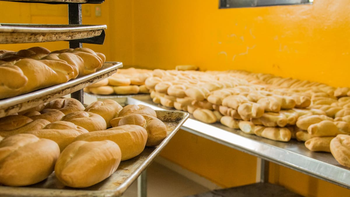 Pan con Fe