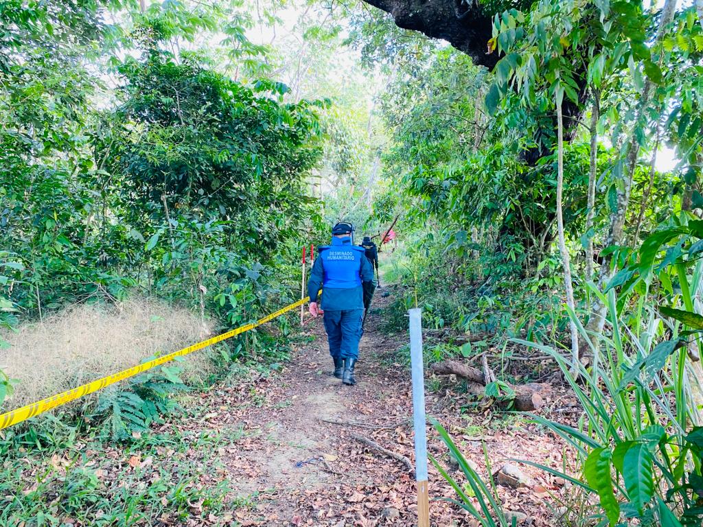 Cortesía: Ejército Nacional