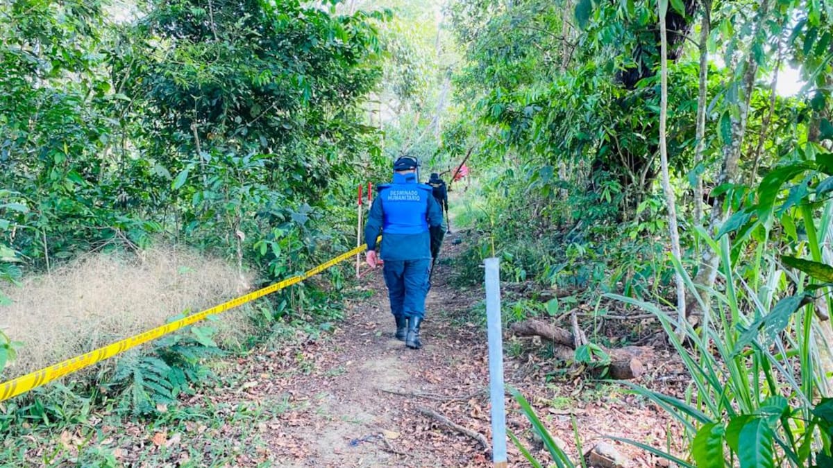 Ya no hay sospecha de minas antipersona en 50 mil metros cuadrados del Meta