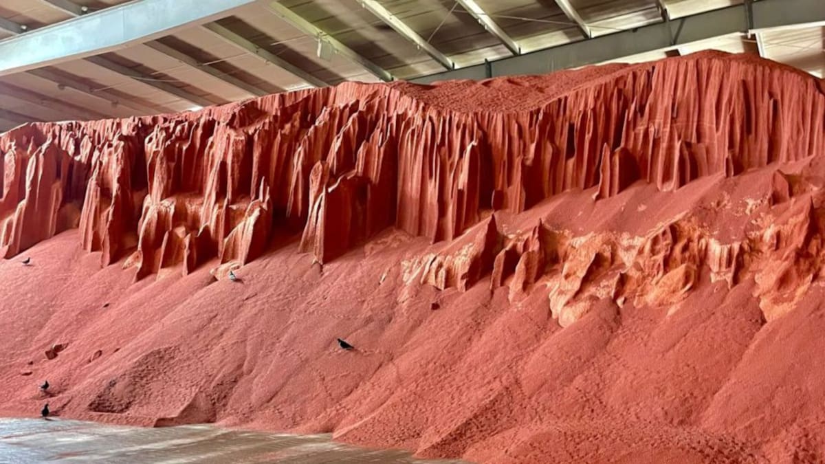 Nitrofer y Nitrocaribe inician operaciones en Santa Marta