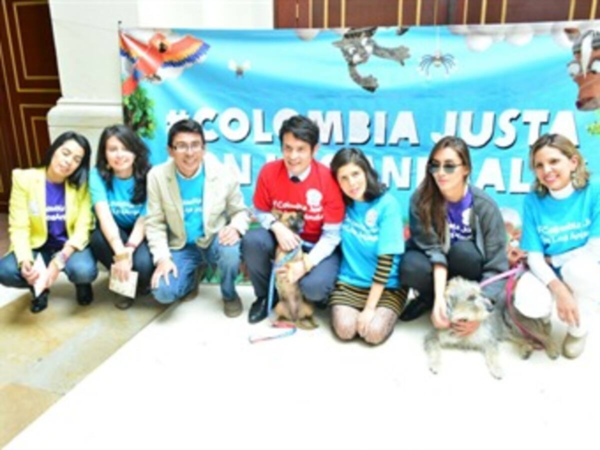 Radican proyecto para castigar el maltrato contra los animales