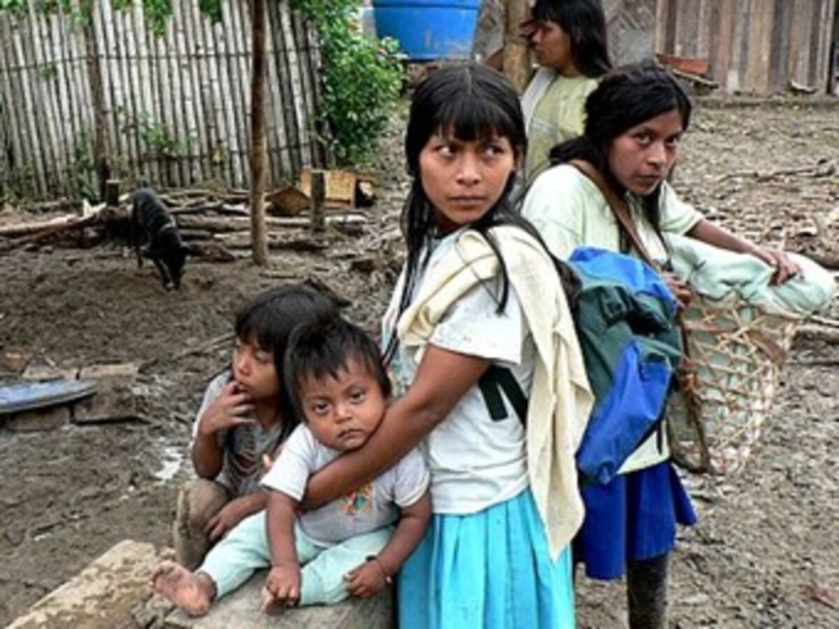 Nuevo desplazamiento de indígenas en Ricaurte, Nariño