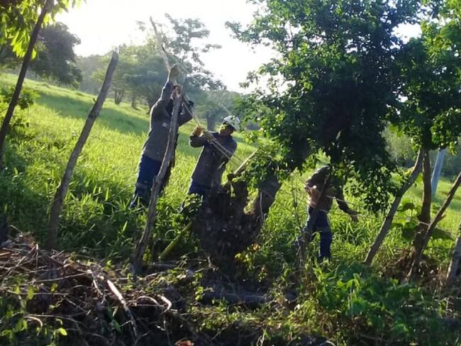Electricaribe aumenta operativos por daños en el sur de Bolívar