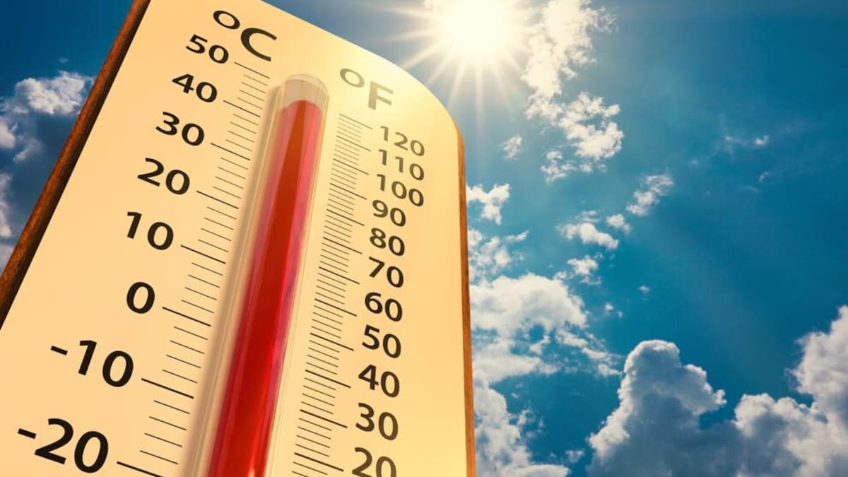 Pereira activa medidas preventivas ante alta probabilidad del fenómeno El Niño