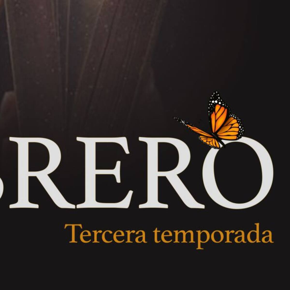 Un señor que no sabe dónde está parado