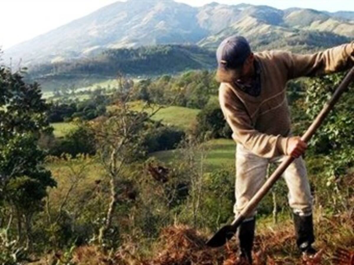 A 6 meses de implementada la ley de tierras ya se piensa en reformarla