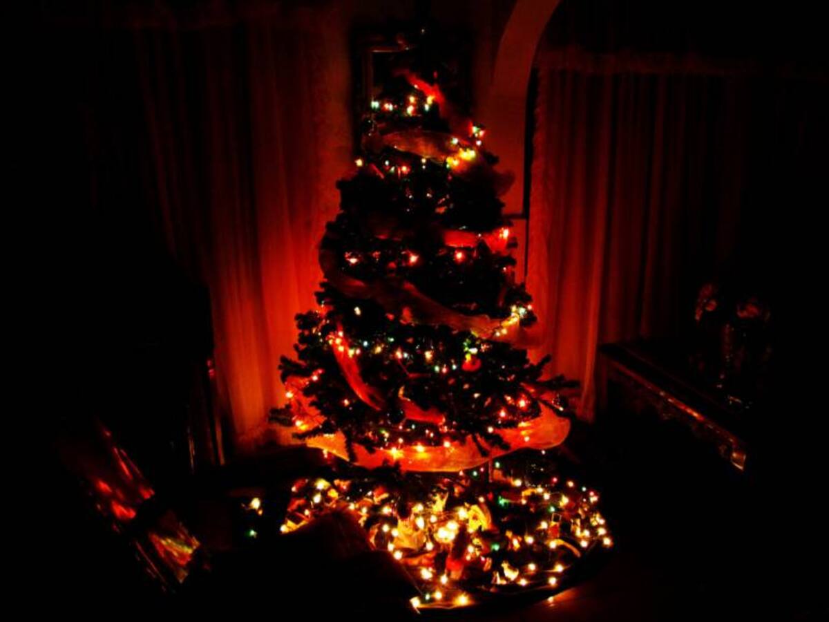 Reflexión de navidad, día 3 - 18 de diciembre