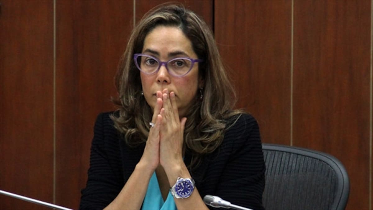 Yo no consulto mis trinos con el presidente Santos: Parody