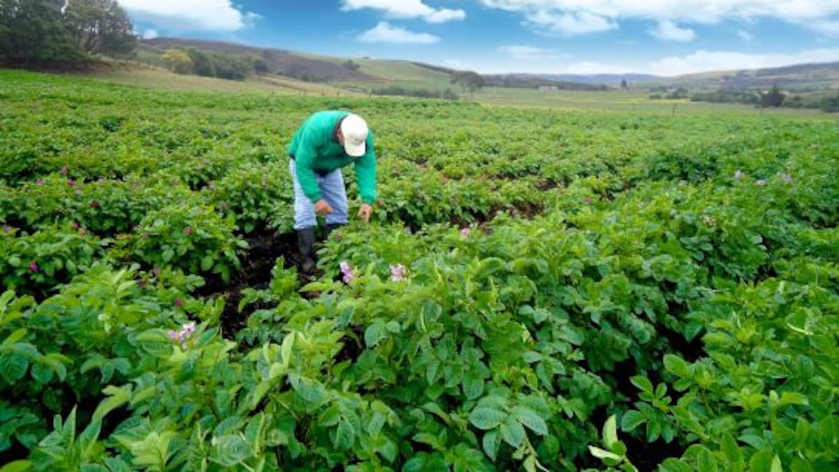 Tecnología de vanguardia en el campo