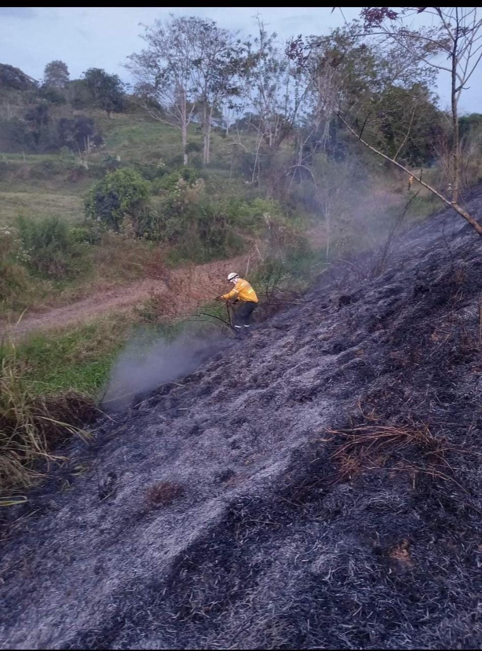 Créditos: Suministrada