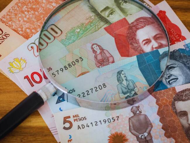 CARF alerta por riesgo de desfinanciación en el Presupuesto General de la Nación del 2025