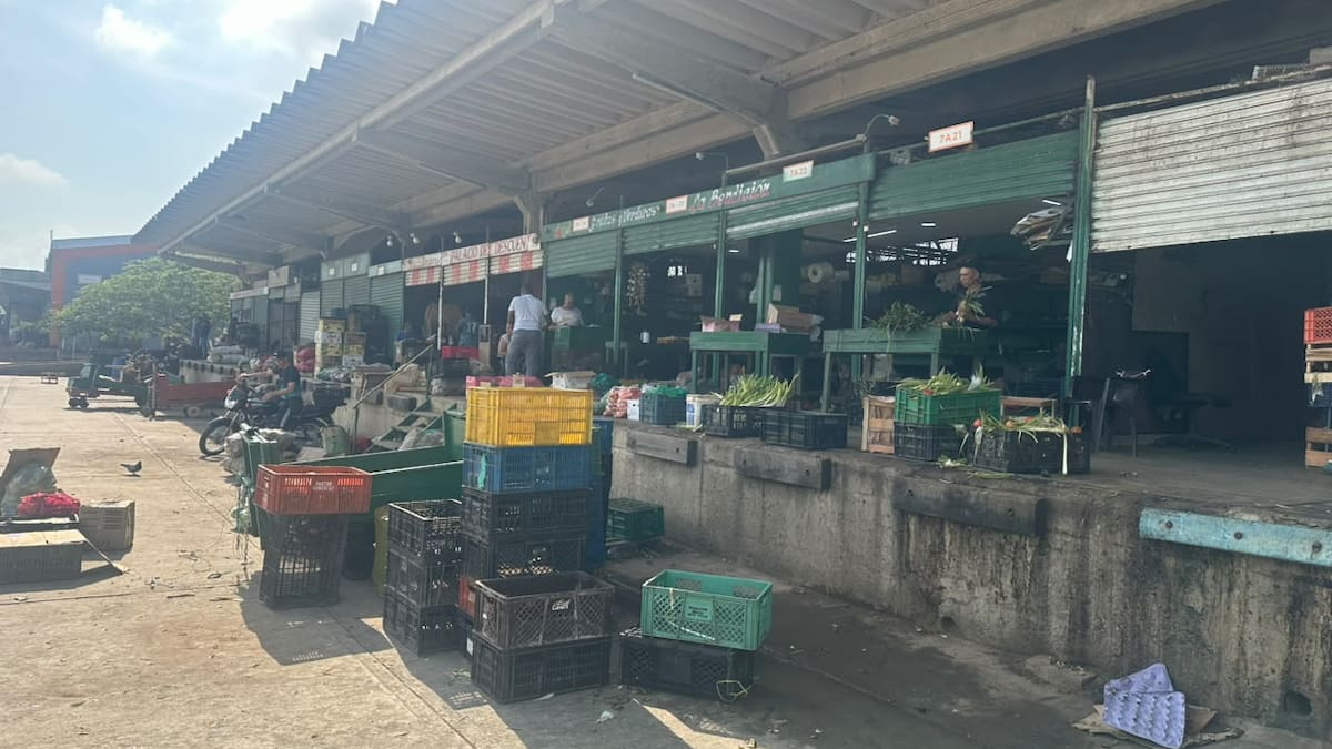 Más de 1.200 vehículos llegaron a Granabastos este miércoles