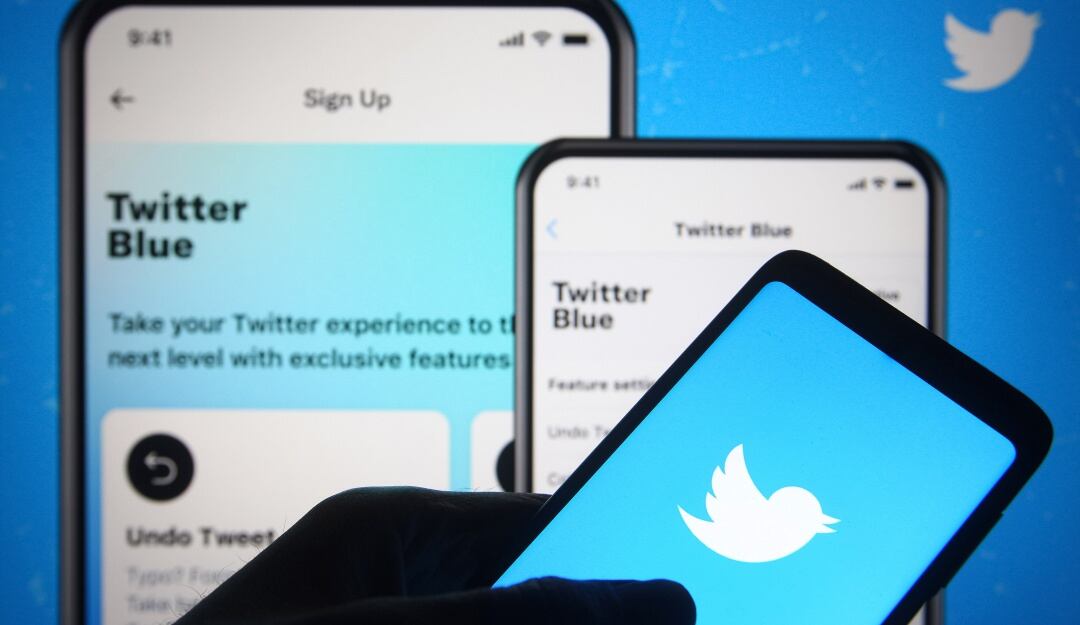 Twitter, red social. 