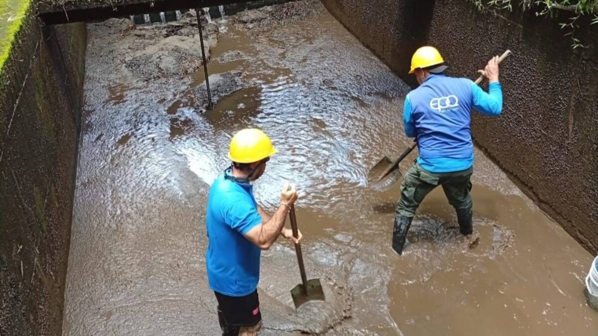 José Alejandro Guevara, gerente EPQ, Quindío