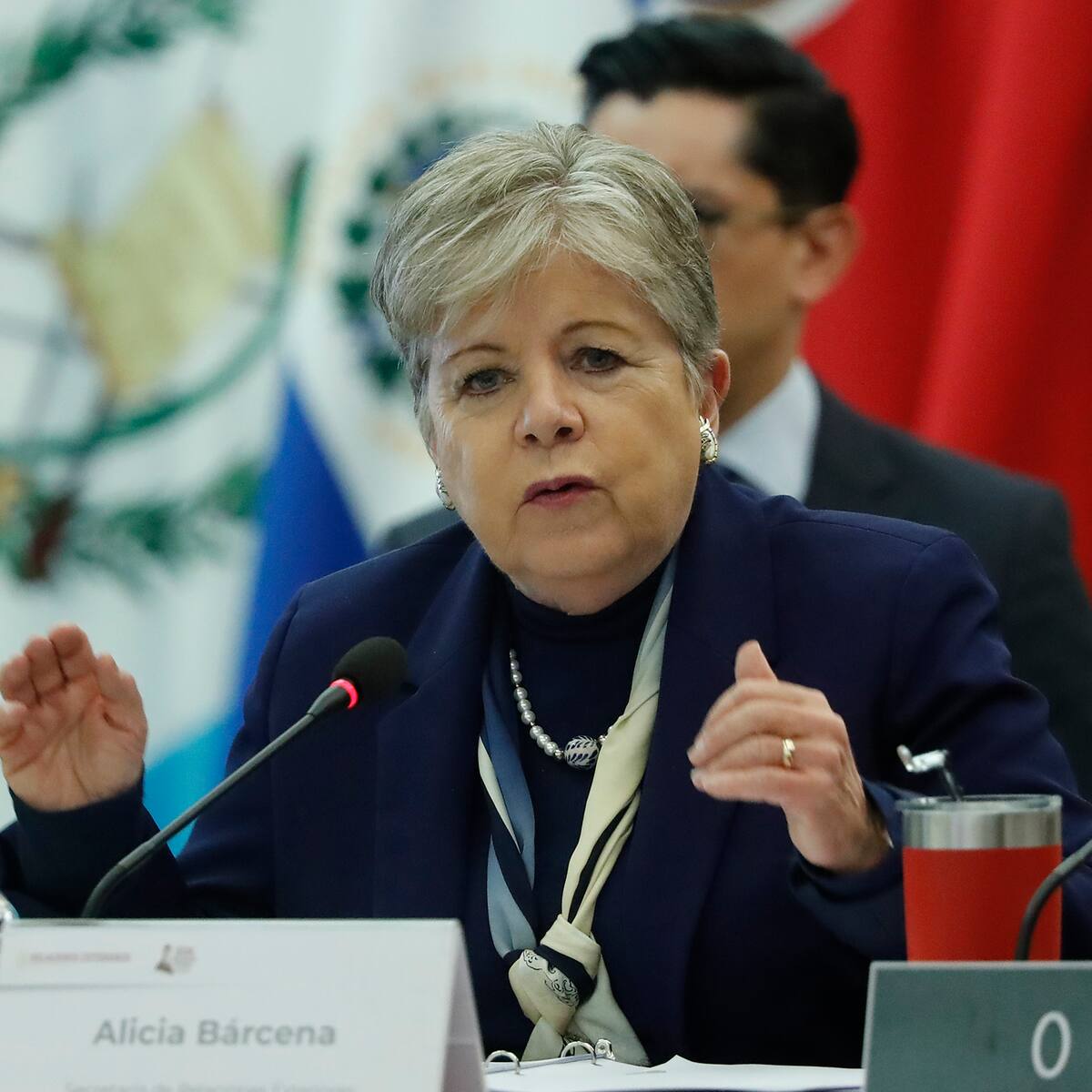 Bárcena demanda reforma urgente de la ONU para afrontar crisis global: “El veto debe terminar”