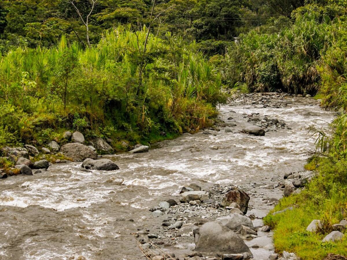 “El problema de Ibagué no es de concesión de agua, es de eficiencia”: Cortolima