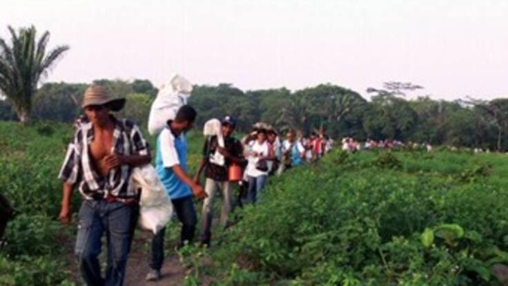 Corte Constitucional dio visto bueno a los términos para beneficios de la Ley de Víctimas y Restitución de Tierras