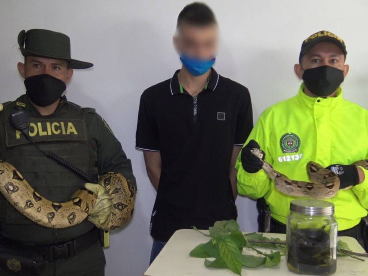 Hallan serpientes y otros animales silvestres en vivienda de Dosquebradas