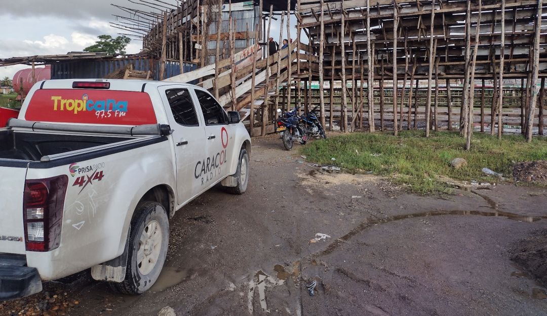 La Alcaldía de Cartagena, a través de la Umata, entregó los toros incautados que iban a ser utilizados en el evento taurino
