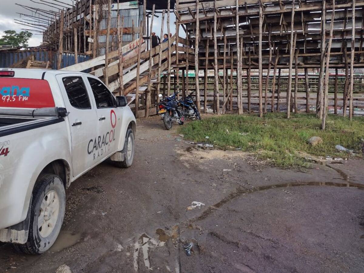 Entregaron toros decomisados en corraleja de Bayunca a propietario