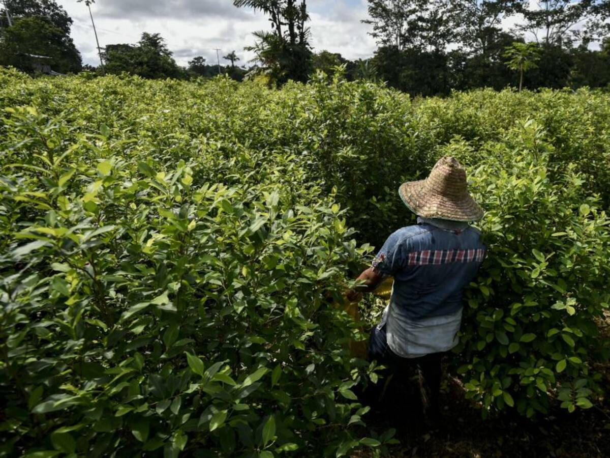 Colombia recibió 100.000 USD por cooperar en la lucha contra narcotráfico