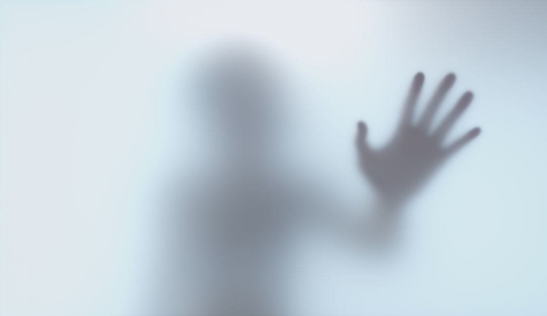 Imagen de referencia