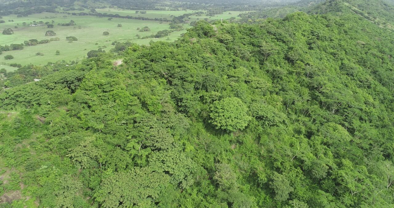 Cerro Colosiná de San Carlos, una reserva forestal representativa de Córdoba.
