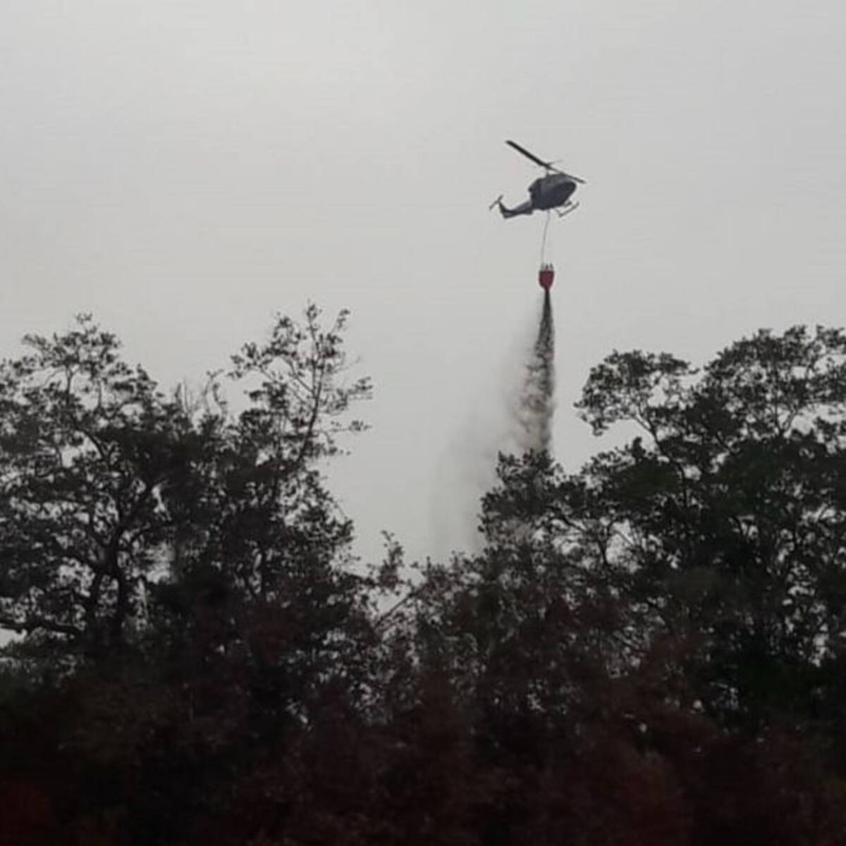 Inician descargas de agua desde el aire en el Parque Isla de Salamanca