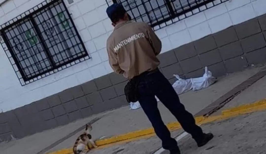 Momento de los hechos