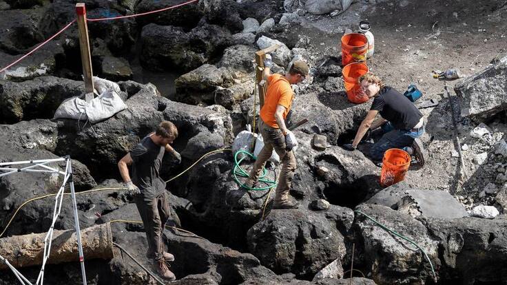 No tiene precedentes: William Pestle sobre hallazgo arqueológico en Miami