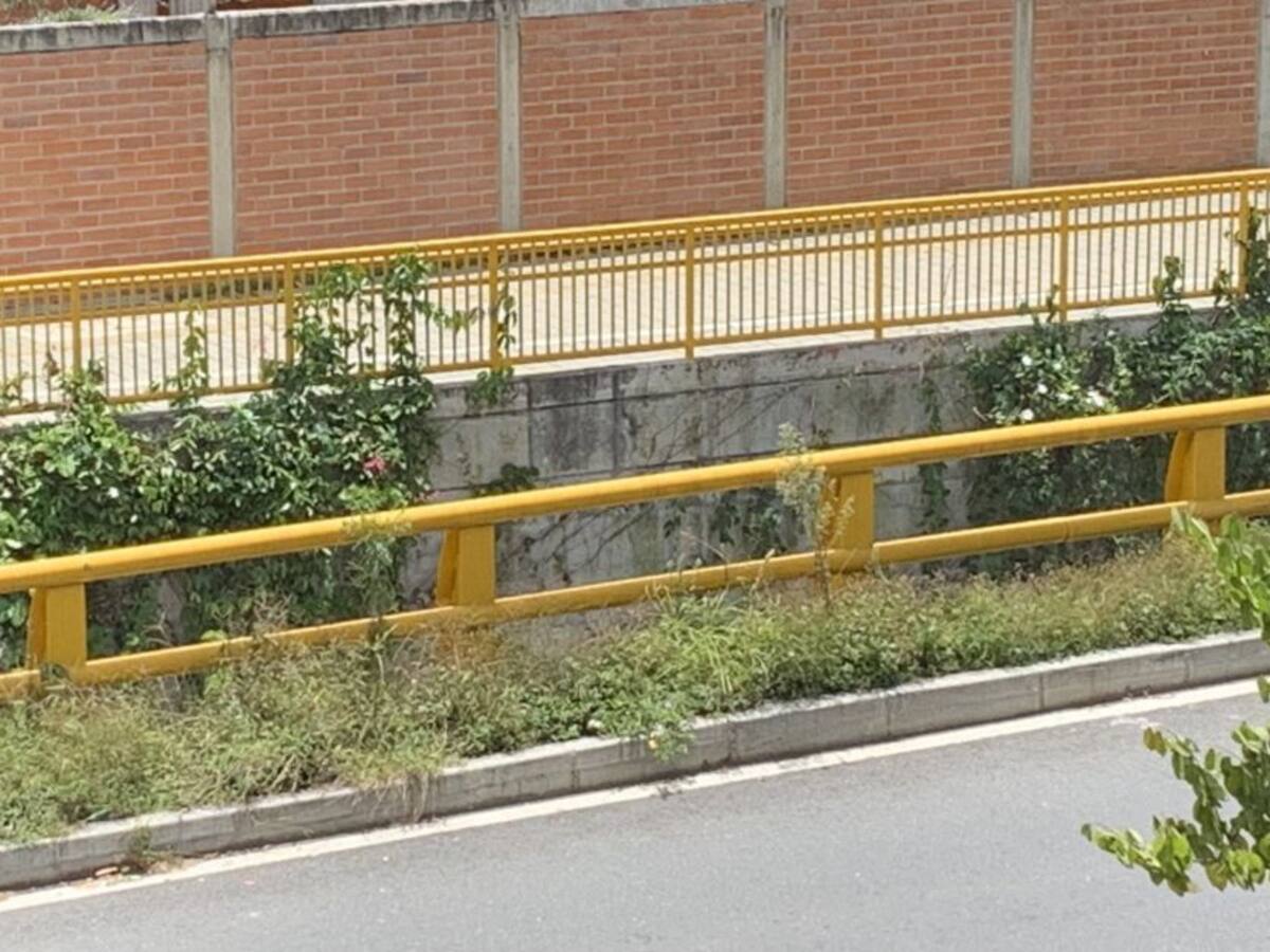 El contrato que destruyó los jardines públicos de Medellín