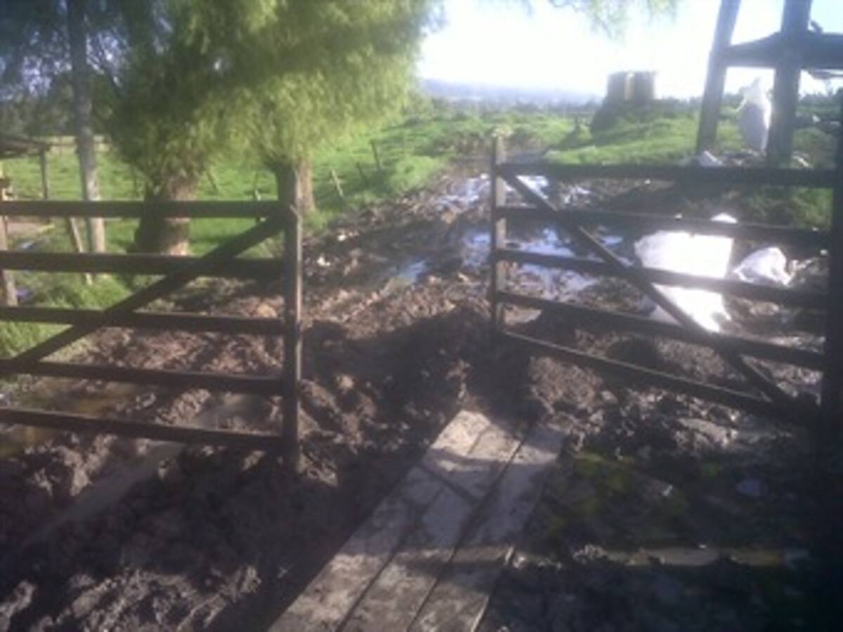 Procuraduría califica de ineficientes labores de Colombia Humanitaria frente al invierno