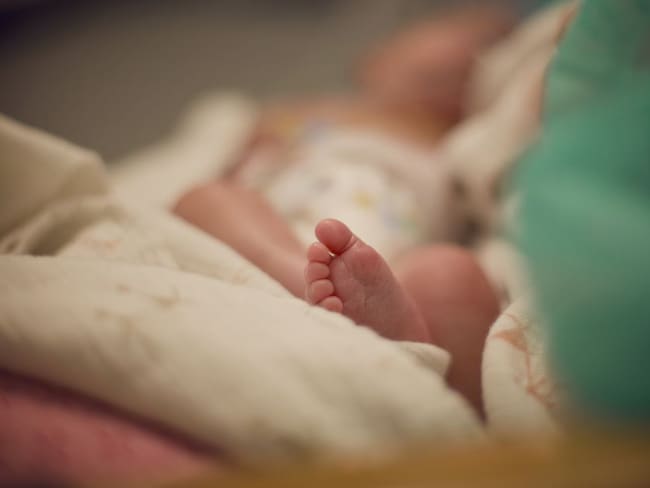 Nacimientos en el primer trimestre registraron una reducción del 2,6%: Dane