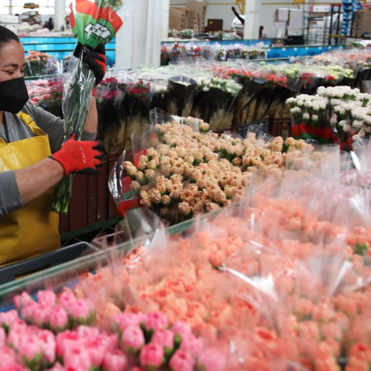 Boyacá busca incrementar las exportaciones de productos de emprendedores