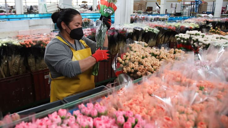 Flores colombianas alegran la vida y mejoran las exportaciones