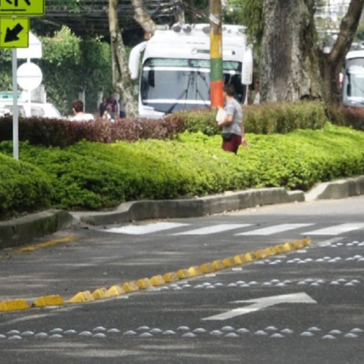¿Cómo ponerse al día con el impuesto de vehículos en el Tolima?