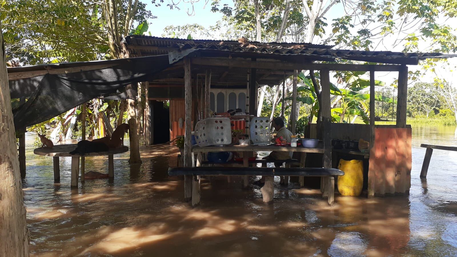 Inundaciones en Puerto Boyacá / Cortesía: Cuerpo de Bomberos de Puerto Boyacá.